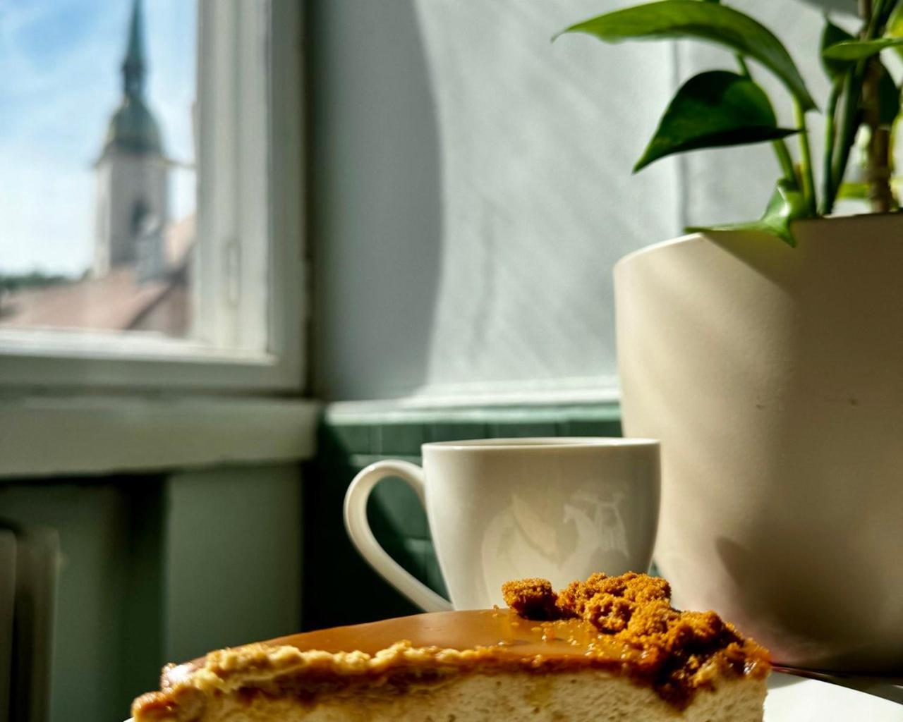 Extralarge Queen Room In The Heart Of Bratislava With Terrace Εξωτερικό φωτογραφία