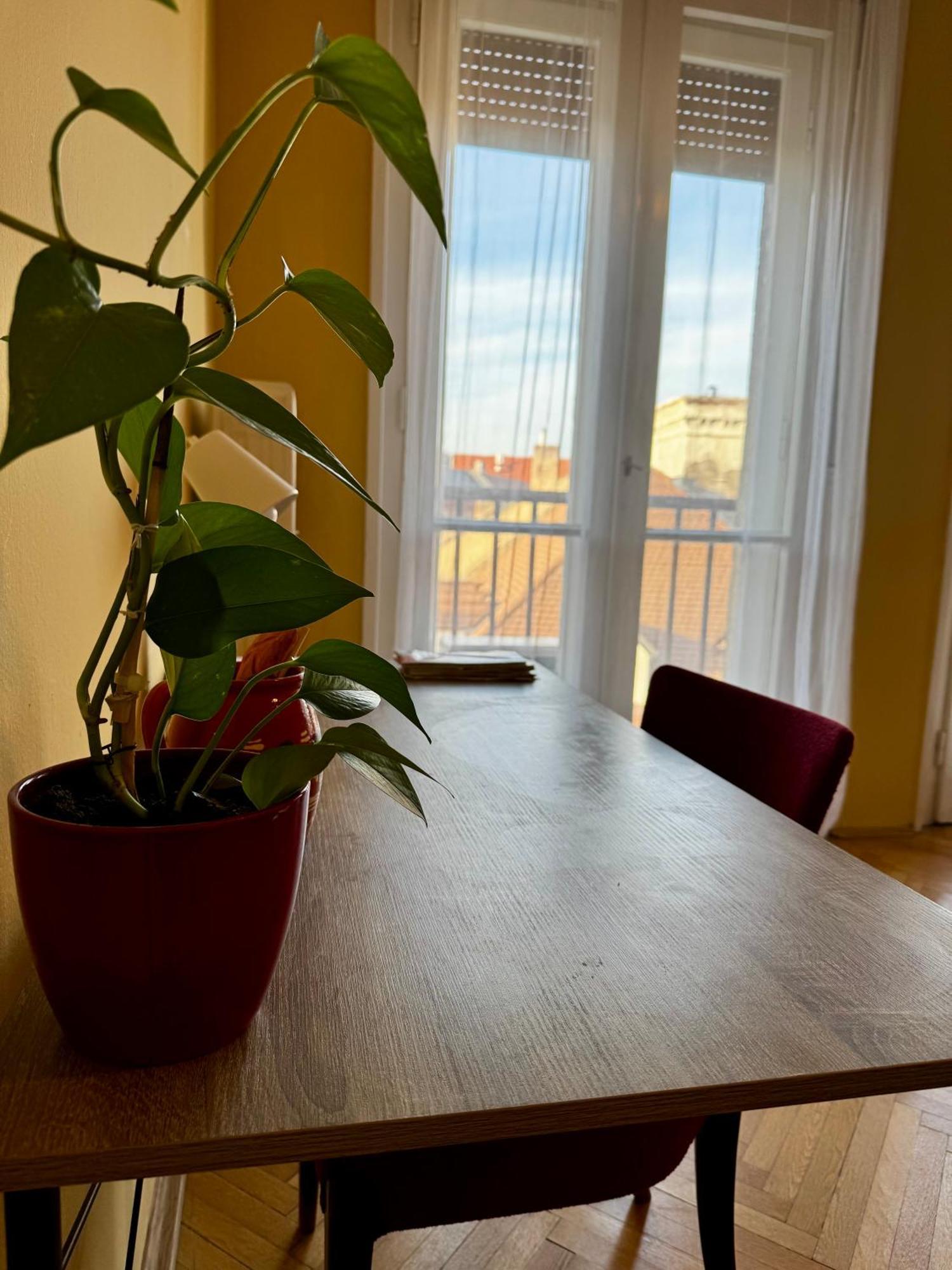 Extralarge Queen Room In The Heart Of Bratislava With Terrace Εξωτερικό φωτογραφία
